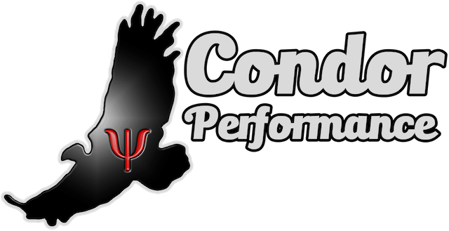 Condor Performance
